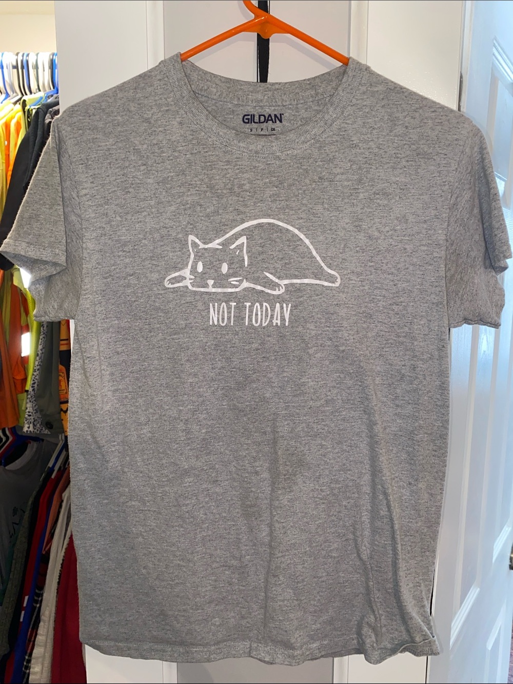 Gildan Gray Cat 'Not Today' T-Shirt with White Graphic